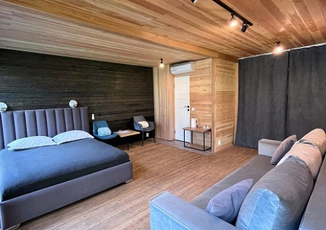  Большой панорамный барнхаус №12 рис.3