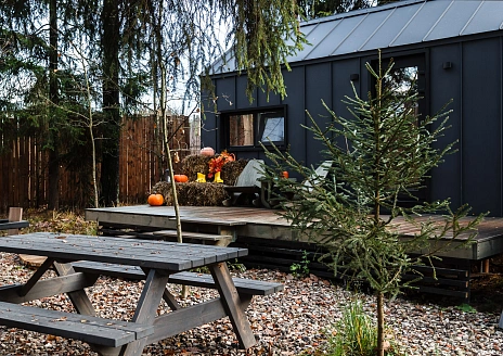  Черника рис.17