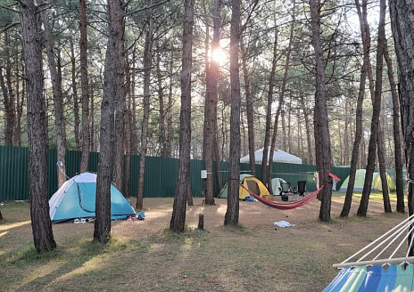  Место под палатку в тени деревьев рис.3