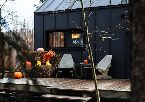  Черника рис.16