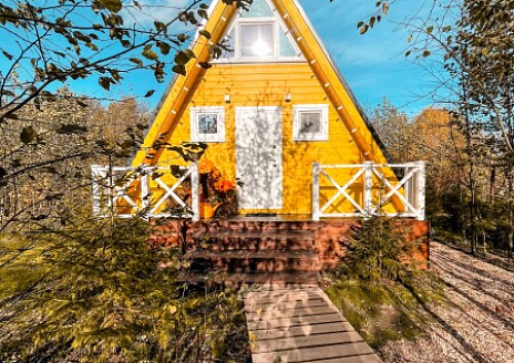  Желтый А дом рис.8