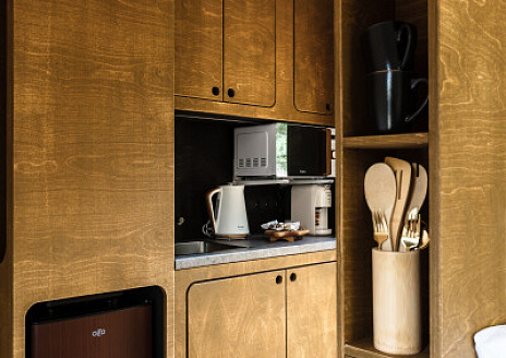 Фото - Ежевика рис.8  Ежевика рис.8