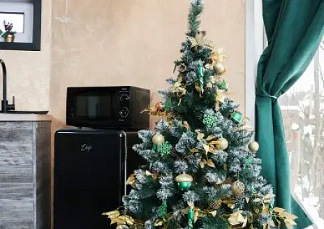  Sfera с баней и купелью рис.4