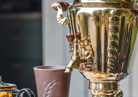  Шишка рис.15