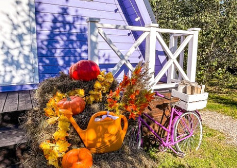  Лавандовый дом рис.8