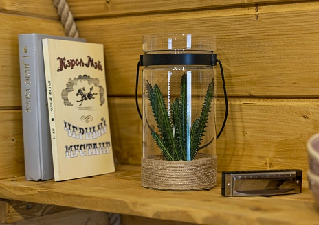  Дилижанс Дикий запад рис.7