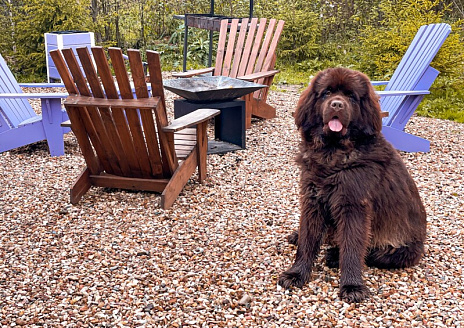  Лавандовый дом рис.17