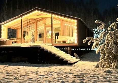  Фридом рис.1