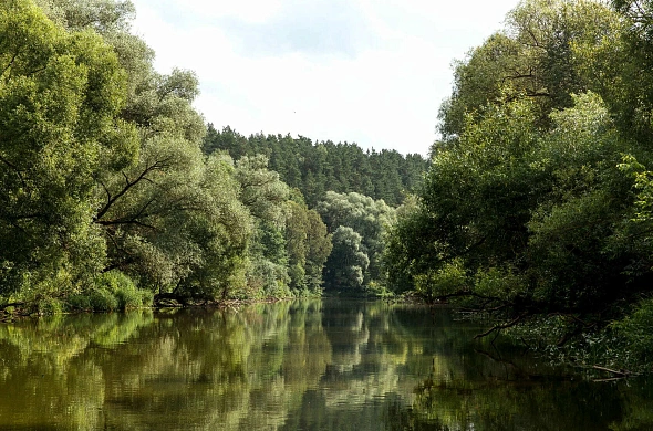 База отдыха Pine River рис.25