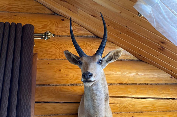 База отдыха Жуковка Village рис.12