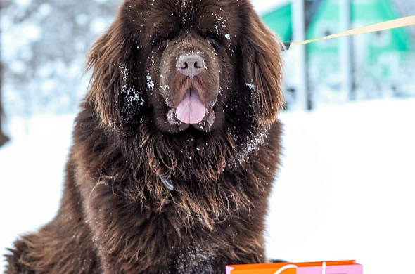 База отдыха А у реки рис.51