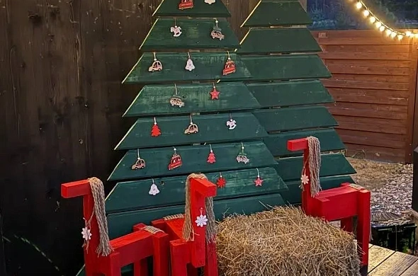 Кемпинг Ягодка-Малинка рис.10