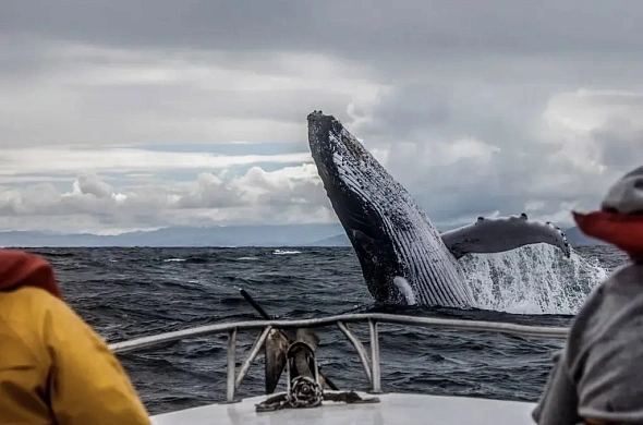 База отдыха Лапландская деревня рис.18