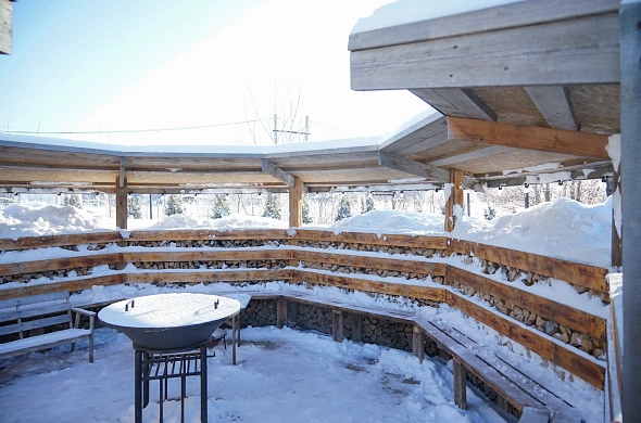 Гуляй-Город