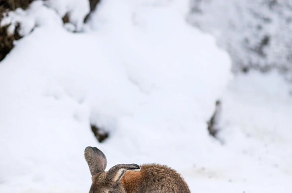 База отдыха А у реки рис.47