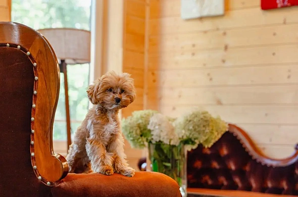 Гостиница Эко Парк Тепло рис.19