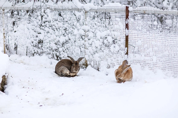 База отдыха А у реки рис.46