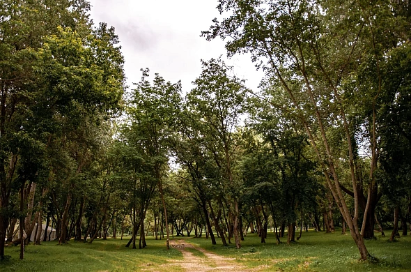 Дом посуточно Загородный клуб Лес рис.22