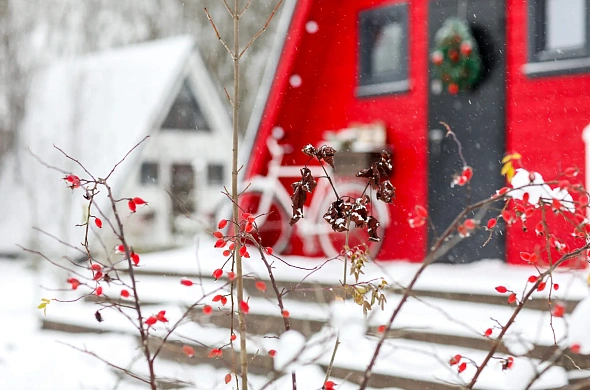 База отдыха А у реки рис.8