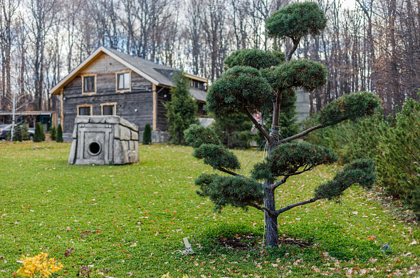База отдыха Odin House рис.2