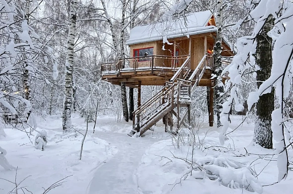 Лапочкино гнездо