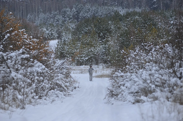 Гуляй-Город