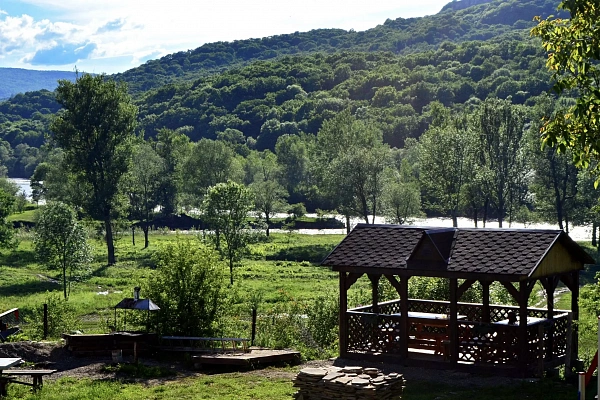  Аммонит от Травел Хотелс Антураж рис.2