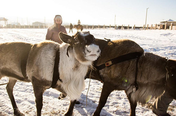 Загородный отель Белая Лошадь рис.3