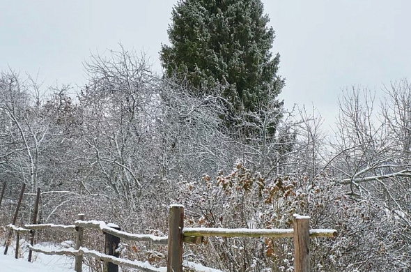 База отдыха Дом Ларди рис.16