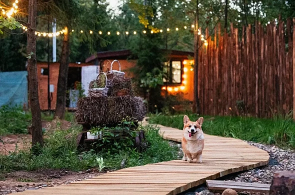Кемпинг Комплекс эко-домов в Подмосковье рис.3