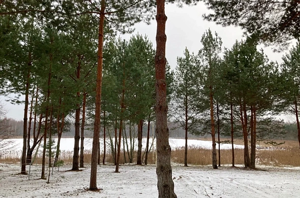 Дом посуточно Reo Rest рис.14