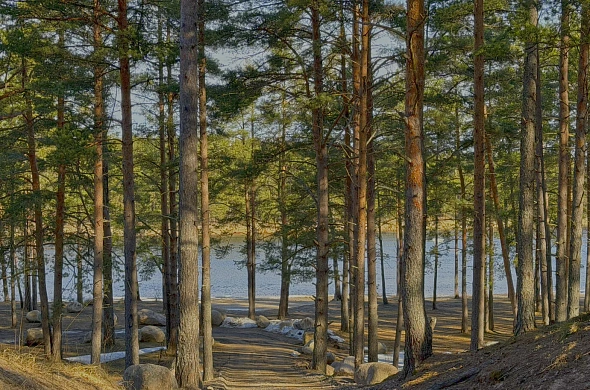 Дом посуточно Magic River Residence рис.13