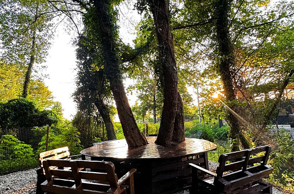 Глэмпинг Aqua Resort Dacha рис.9