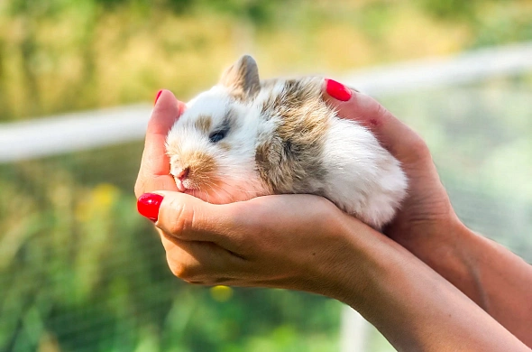 Гостевой дом А у реки рис.76