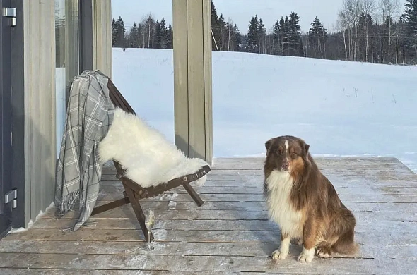 Глэмпинг Родионова Дача рис.10