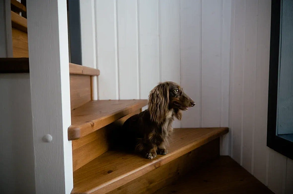 Дом посуточно Хвоя рис.6