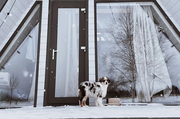 Глэмпинг Woody Village Riverside рис.11