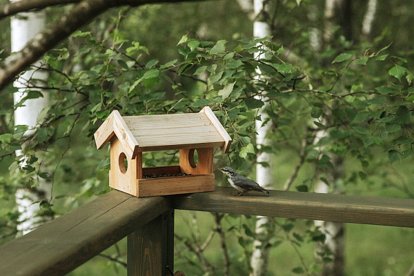 Дома на деревьях - Лапочкино гнездо