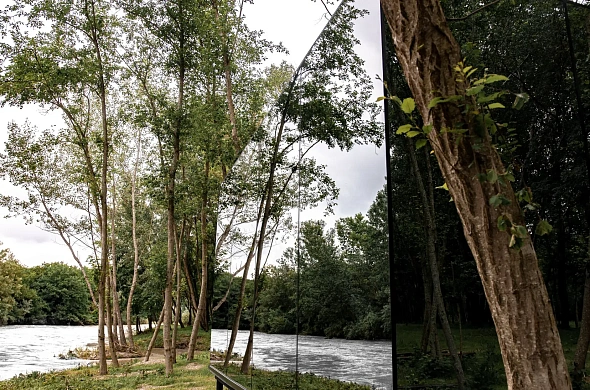 Дом посуточно Загородный клуб Лес рис.11