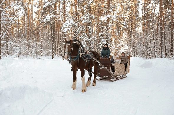 Гостиница ВеЛес рис.18