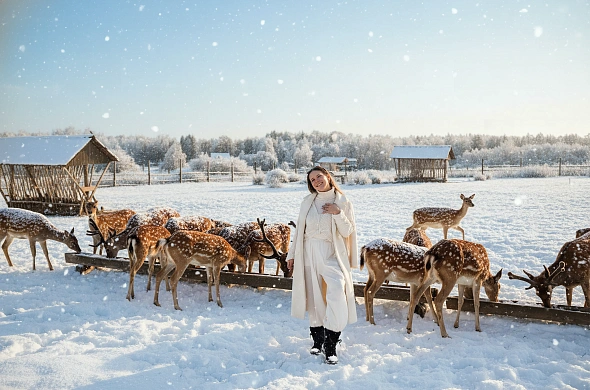 База отдыха Трофимов Берег рис.21