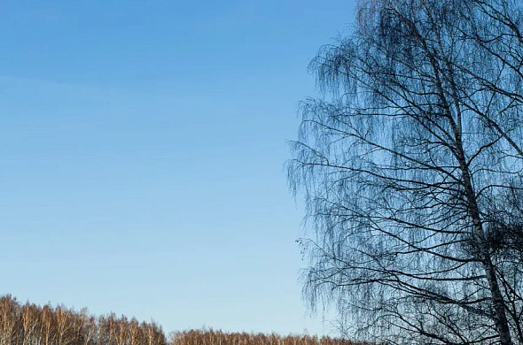 Гостиница Just Wood рис.27