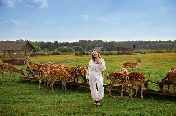 База отдыха Трофимов Берег рис.3