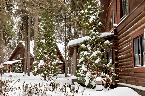 Гостиница Романов лес рис.12