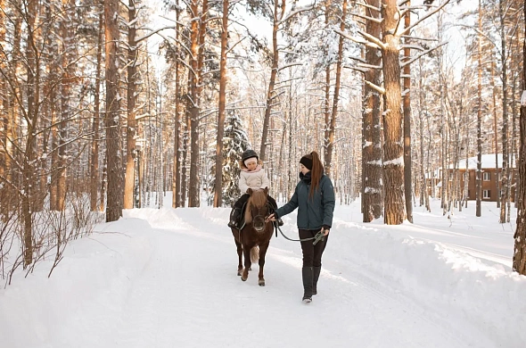 Гостиница ВеЛес рис.17